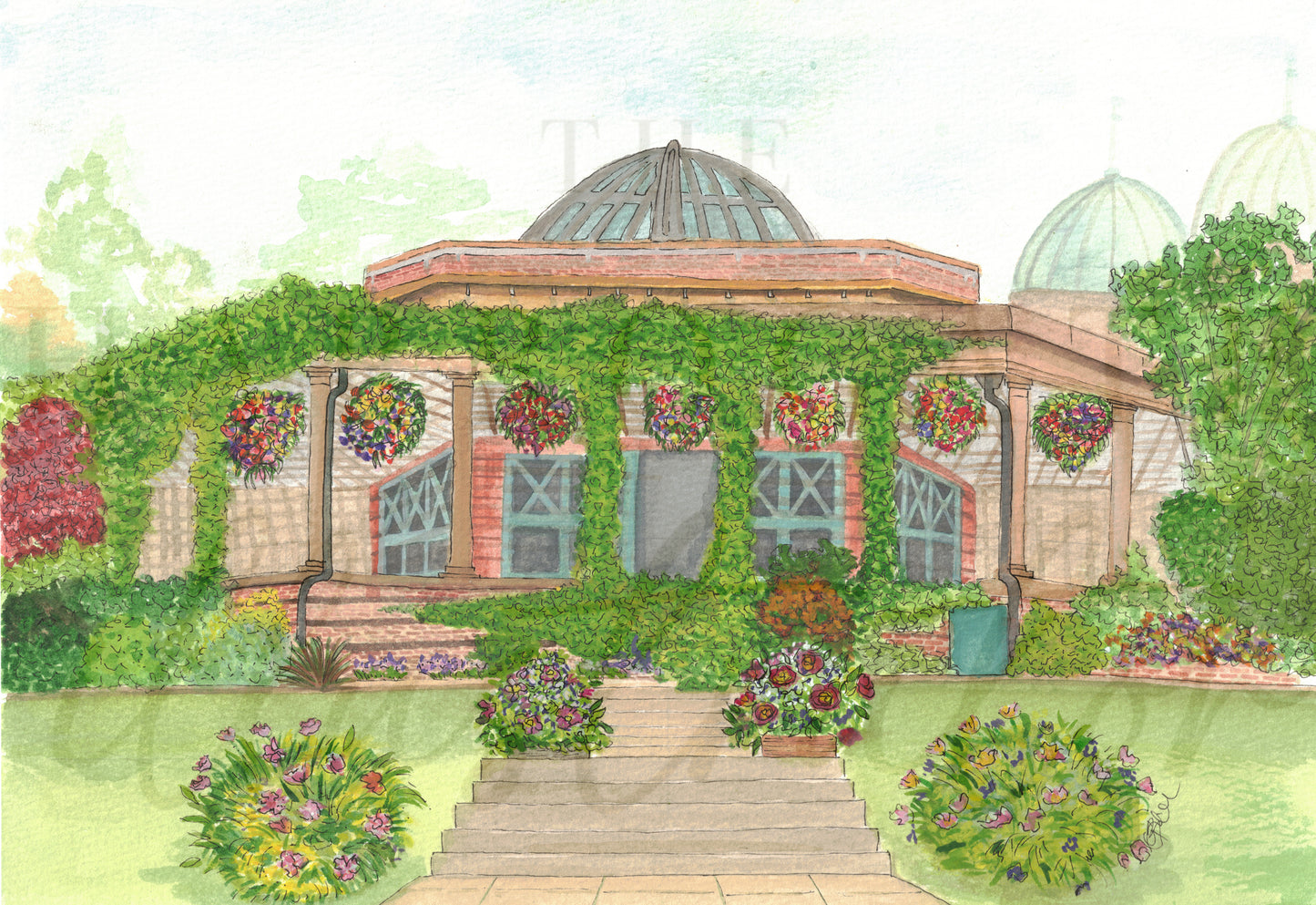 Summer Days Greeting Card